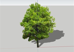 罗木石楠树设计SU(草图大师)模型