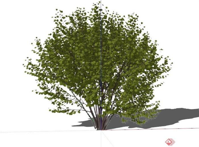 现代木槿植物素材设计SU模型(1)