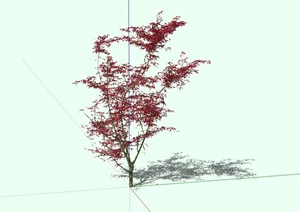 红枫树设计SU(草图大师)模型