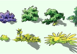 手绘小灌木景观植物设计SU(草图大师)模型