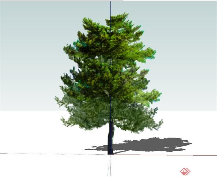 3种松树设计SU模型(1)
