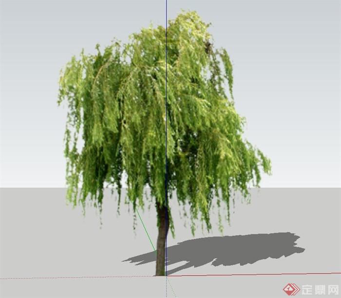 4种柳树设计SU模型(3)