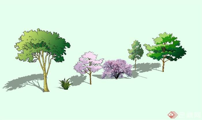 六种不同的景观树木设计su模型(1)
