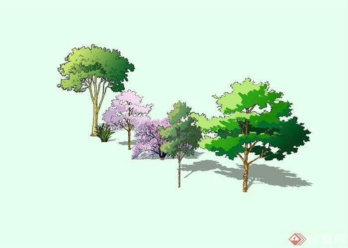 六种不同的景观树木设计su模型(2)