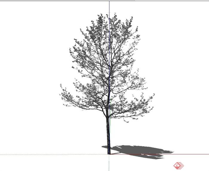 某冬景树、枯树设计su模型(1)