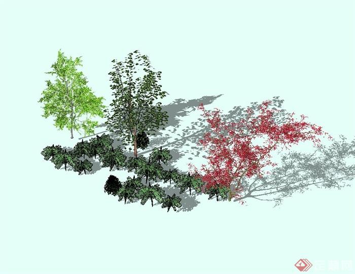 精致详细园林植物群落设计su模型(2)