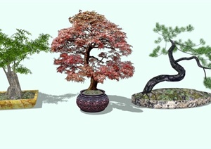 3个盆栽植物素材SU(草图大师)模型