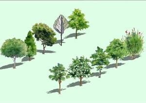 多种不同的园林手绘树木设计SU(草图大师)模型