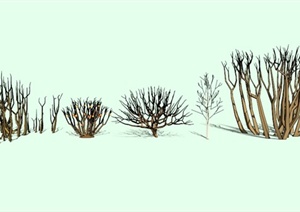 冬景树枯树素材设计SU(草图大师)模型