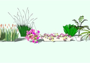 现代花卉植物素材设计SU(草图大师)模型