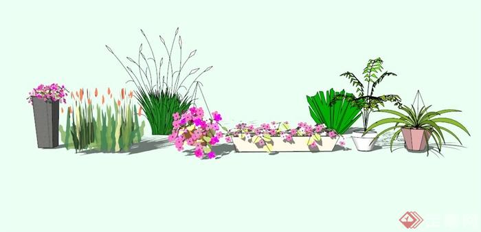 现代花卉植物素材设计SU模型(1)