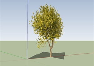 黄金槐树设计SU(草图大师)模型
