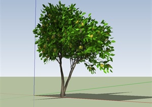 诺丽果树设计SU(草图大师)模型