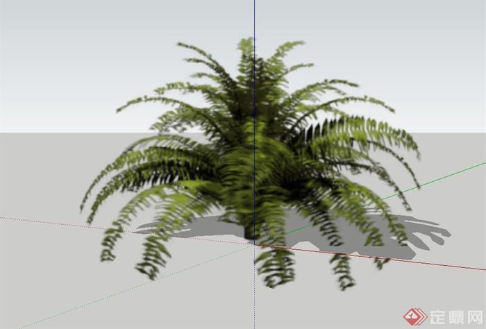10种芭蕉棕榈热带植物设计SU模型(2)