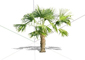 10种芭蕉棕榈热带植物设计SU(草图大师)模型