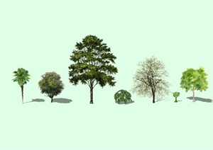 七种不同的园林景观绿化树木设计SU(草图大师)模型