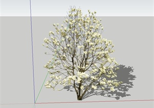 白玉兰树设计SU(草图大师)模型