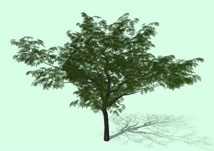 写意乔木树设计SU(草图大师)模型