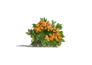 2d花卉植物设计SU(草图大师)模型