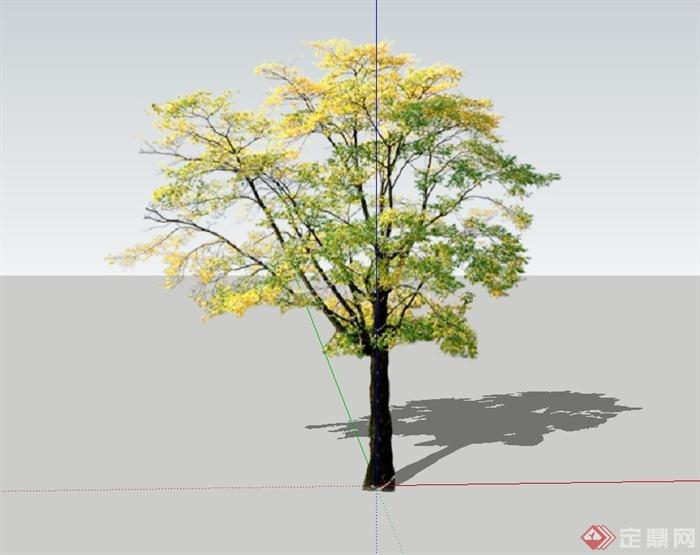 单棵景观大树设计su模型(1)