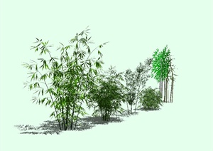 多种不同的竹子设计SU(草图大师)模型