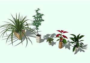 5盆景观植物盆栽设计SU(草图大师)模型
