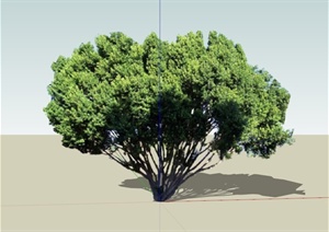 现代酒金柏球植物素材设计SU(草图大师)模型