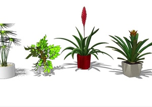 4个盆栽植物素材SU(草图大师)模型