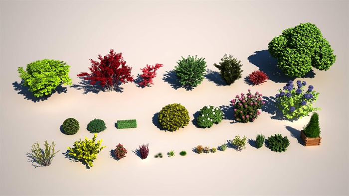多种不同的园林景观灌木植物3d模型