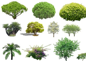 多种不同的鸟瞰图专用psd植物