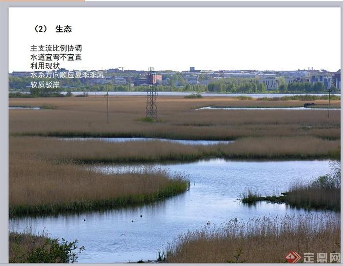 某现代风格滨水新城中水系形态的生成策略ppt方案(3)