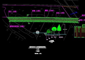温州某高速段道路绿化CAD剖面方案