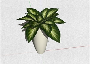 某精致详细盆景植物设计SU(草图大师)模型