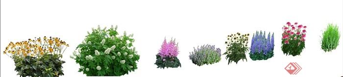 8丛花卉植物su模型(1)