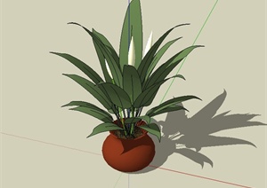 现代风格陶罐花钵植物设计SU(草图大师)模型
