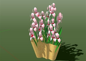 粉色花卉植物盆栽设计SU(草图大师)模型