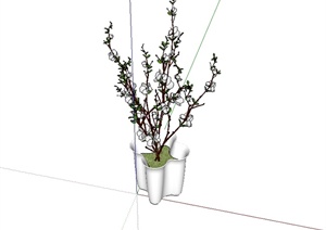 现代风格陶瓷盆栽植物设计SU(草图大师)模型