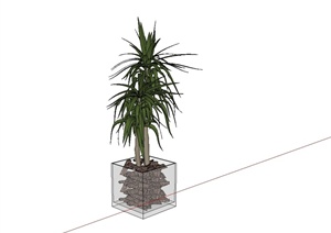 某现代玻璃盆栽植物设计SU(草图大师)模型