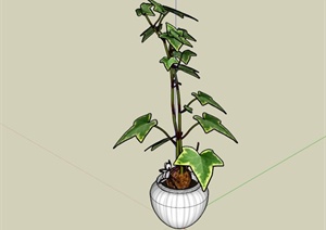 现代室内植物盆栽设计SU(草图大师)模型
