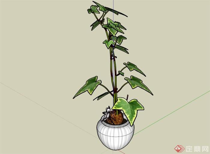 现代室内植物盆栽设计SU模型(1)