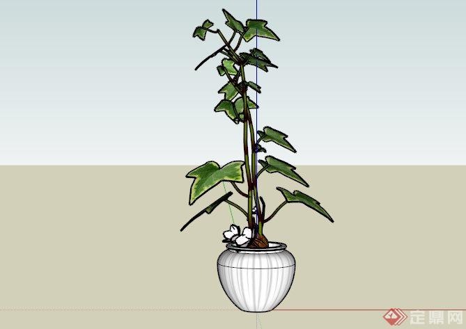 现代室内植物盆栽设计SU模型(3)