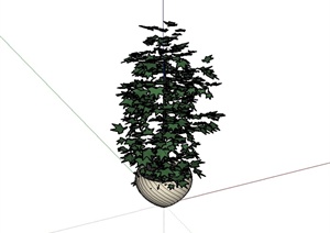 某现代风格花钵盆栽植物设计SU(草图大师)模型