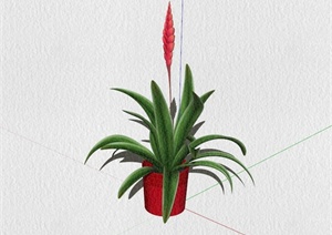 现代室内花卉植物SU(草图大师)模型