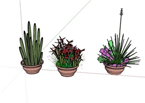 三个植物盆栽设计SU(草图大师)模型