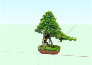 某室内盆景植物设计SU(草图大师)模型