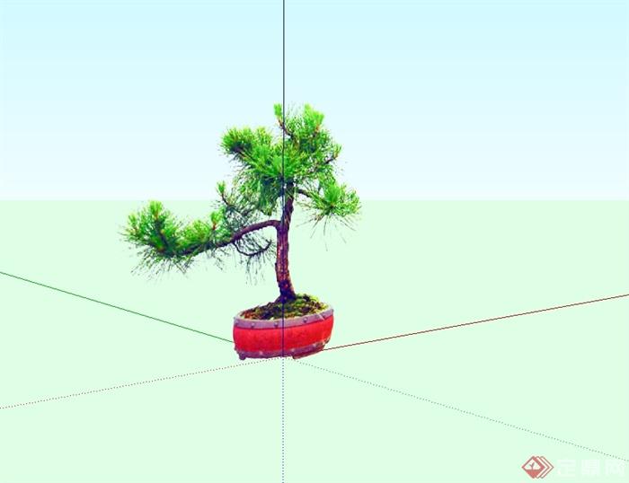 2d盆景植物设计SU模型(2)