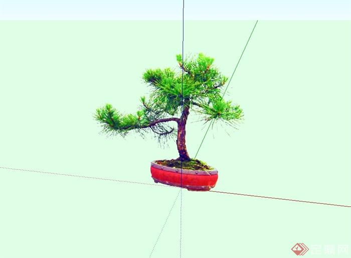 2d盆景植物设计SU模型(1)