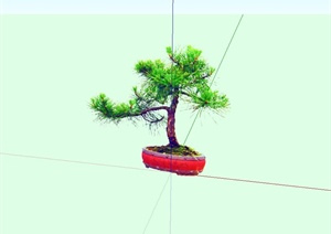 2d盆景植物设计SU(草图大师)模型
