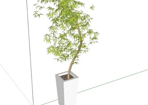 现代风格花钵盆栽植物设计SU(草图大师)模型