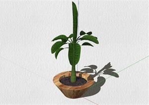 简约常见花钵植物SU(草图大师)模型